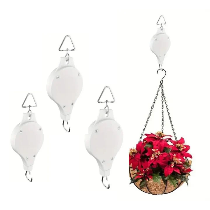 2+2 Free | Simple Plant Hanging Set - Image 17