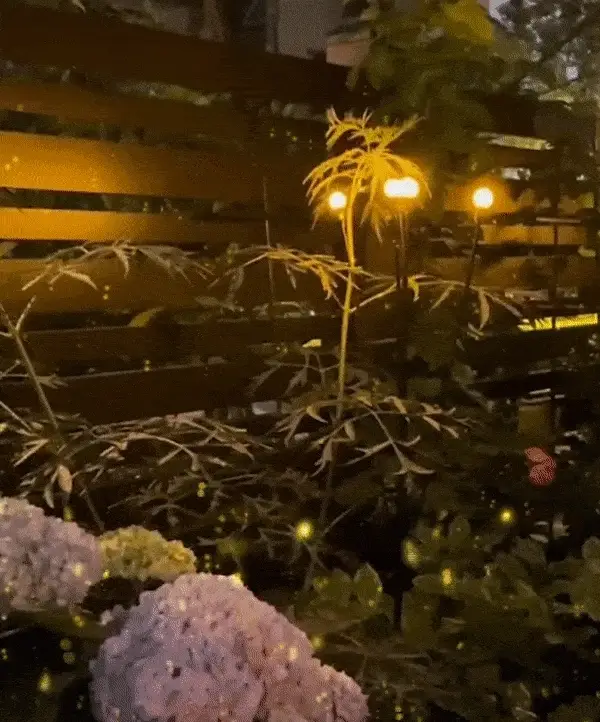 Arvilaros ParaGarden™ Solar Firefly Light with Auto Power ON/OFF Winterproof - Image 13