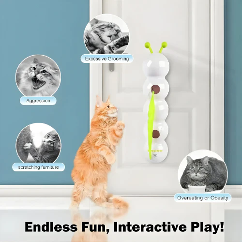 Carnivor™ — Ignite Your Cat’s Wild Instincts for Non-Stop Play and Sharp Focus - Image 6