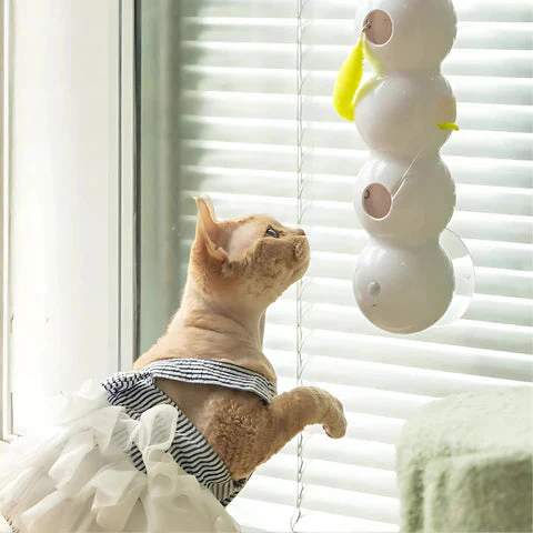 CatVibe™ — Ignite Playful Energy and Keep Your Cat Hooked All Day - Image 3