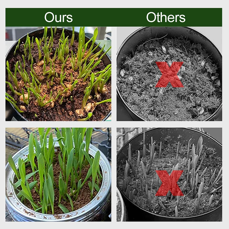 CocoBrick™ - Organic Coconut Coir for Plants - Image 5