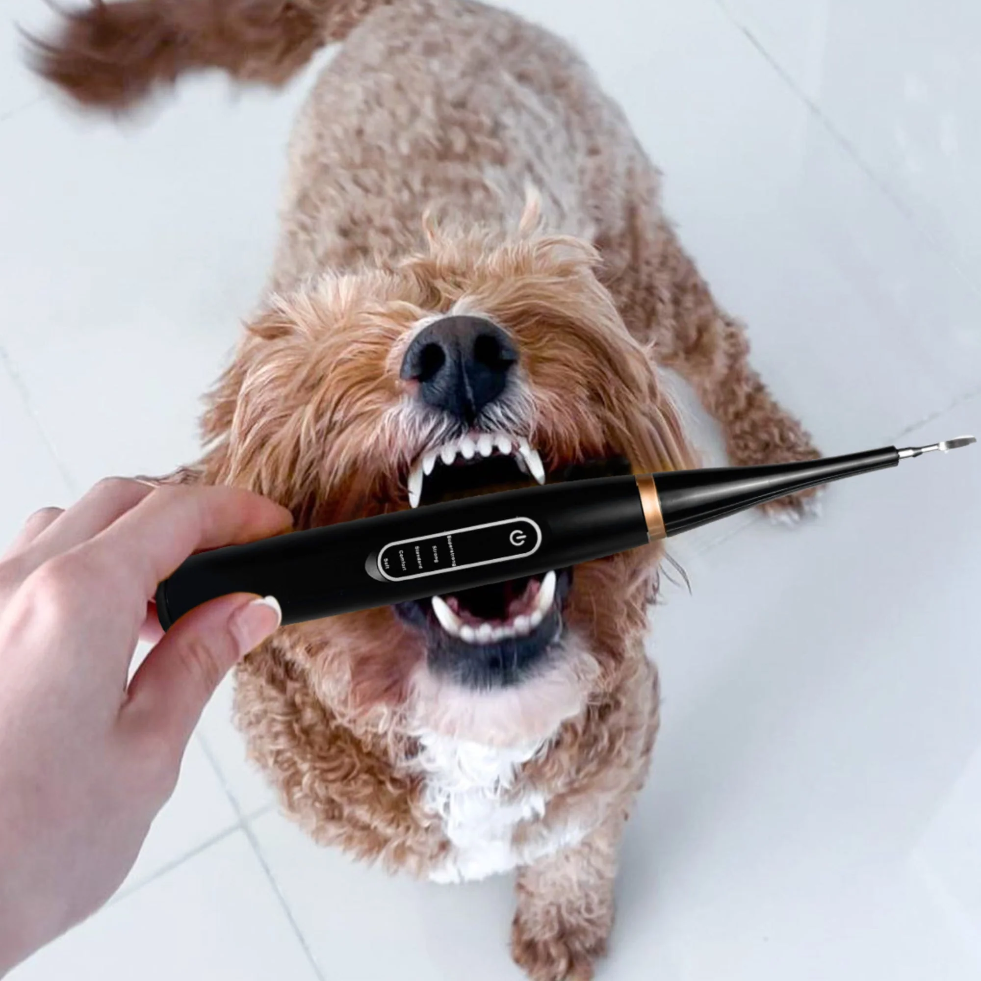 PureSmile™ — Effortless, Pain-Free Dental Care That Gives Your Pet a Bright, Confident Smile - Image 10