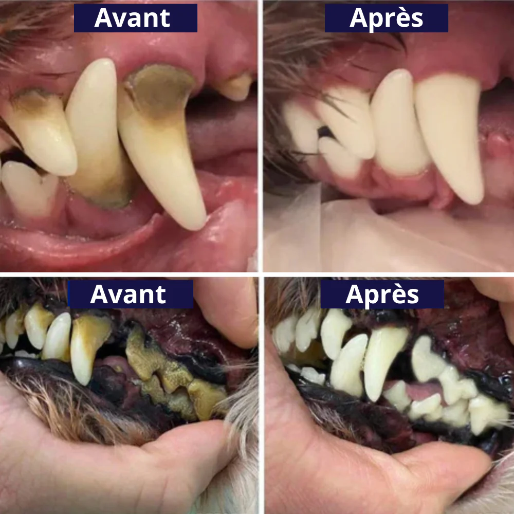 PureSmile™ — Effortless, Pain-Free Dental Care That Gives Your Pet a Bright, Confident Smile - Image 3