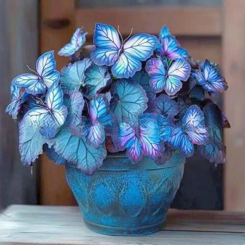 FlutterMuse™ Butterfly Bloom Seeds — Transform Your Garden into a Magical Butterfly Wonderland - Image 16
