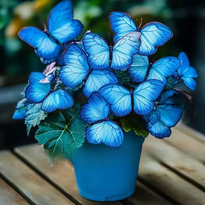 FlutterMuse™ Butterfly Bloom Seeds — Transform Your Garden into a Magical Butterfly Wonderland - Image 19