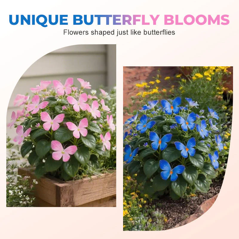 FlutterMuse™ Butterfly Bloom Seeds — Transform Your Garden into a Magical Butterfly Wonderland - Image 2