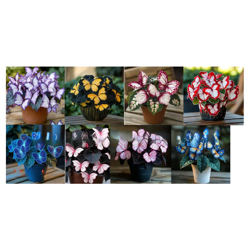 FlutterMuse™ Butterfly Bloom Seeds — Transform Your Garden into a Magical Butterfly Wonderland - Image 21
