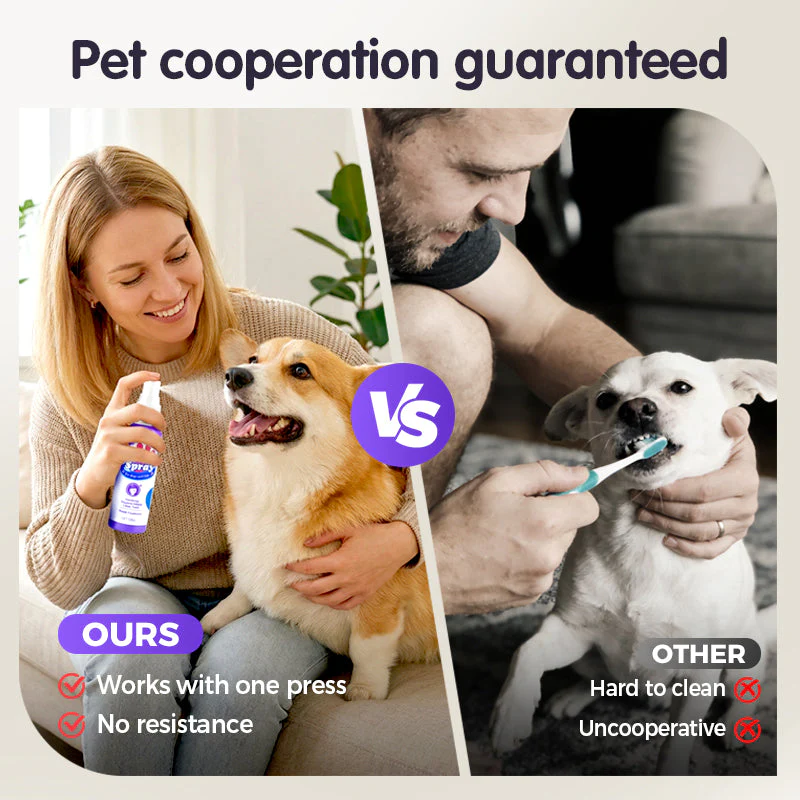 FreshPaws™ — Effortless Fresh Breath and Sparkling Smiles for Happier Pets - Image 3