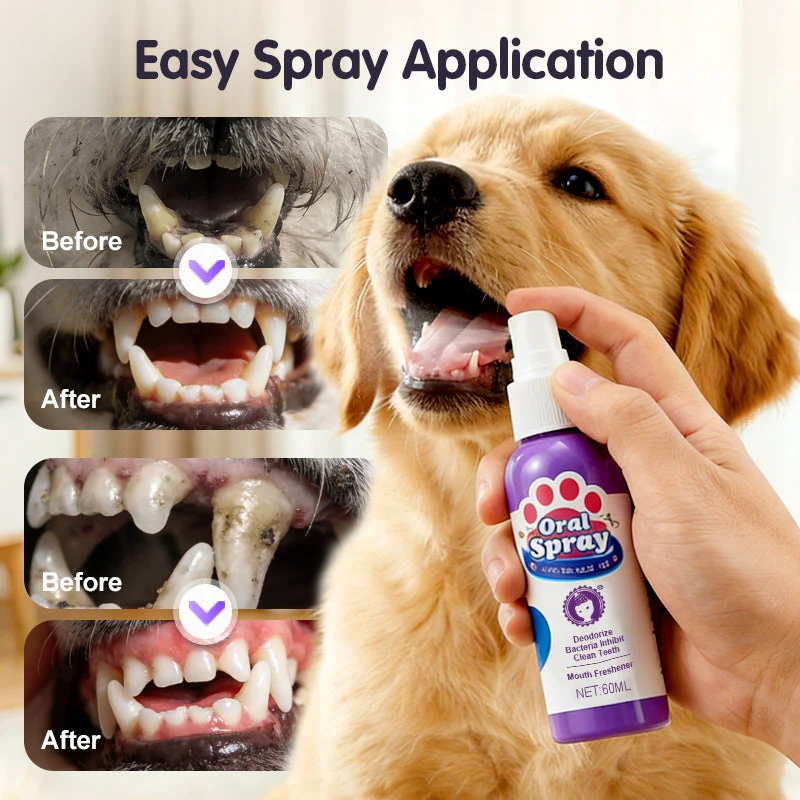 FreshPaws™ — Effortless Fresh Breath and Sparkling Smiles for Happier Pets - Image 8
