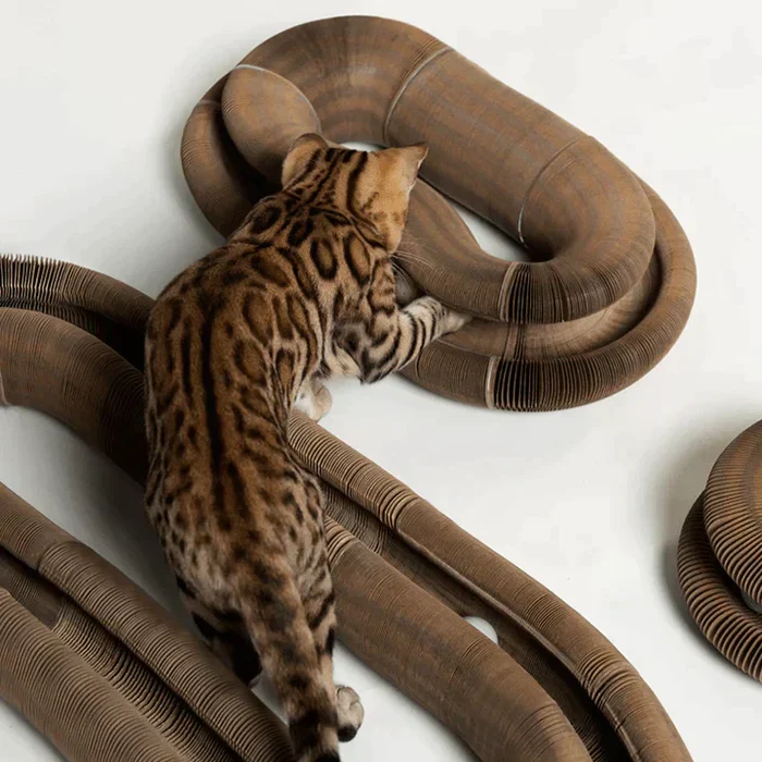 FunCat™ - An interactive toy for cats - Image 2