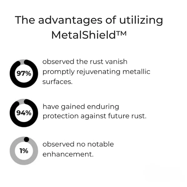 MetalShield™ — Restore Shine Instantly and Shield Your Metal for Life - Image 2