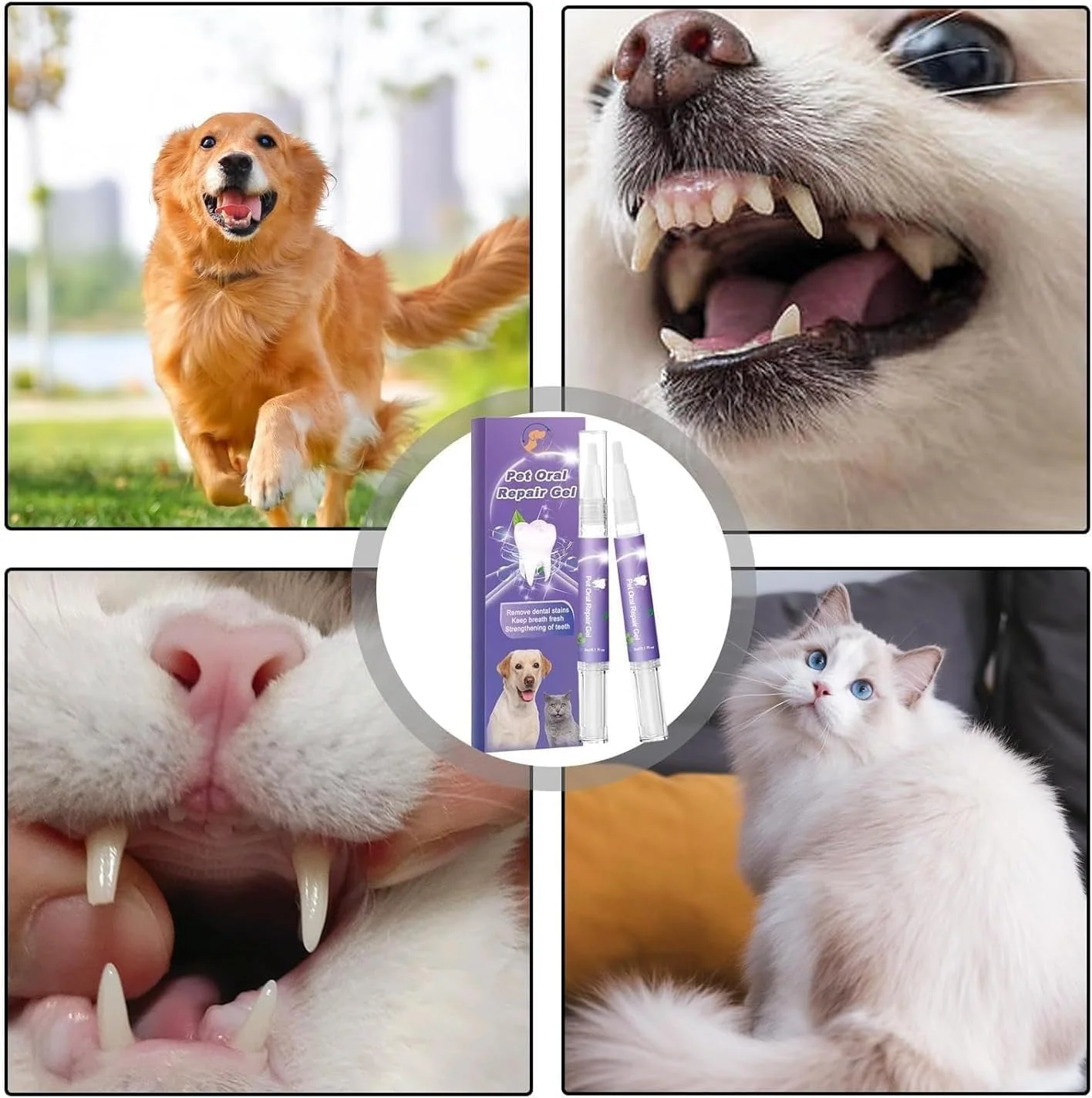 OralGlow™ — Bright Smile, Fresh Breath Quickly | Buy 1 Get 1 Free - Image 8