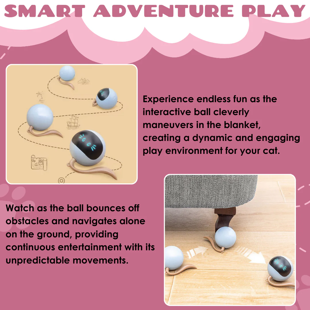 PurrQuest™ — Ignite Your Cat’s Wild Instincts for Endless Thrills and Energy - Image 3