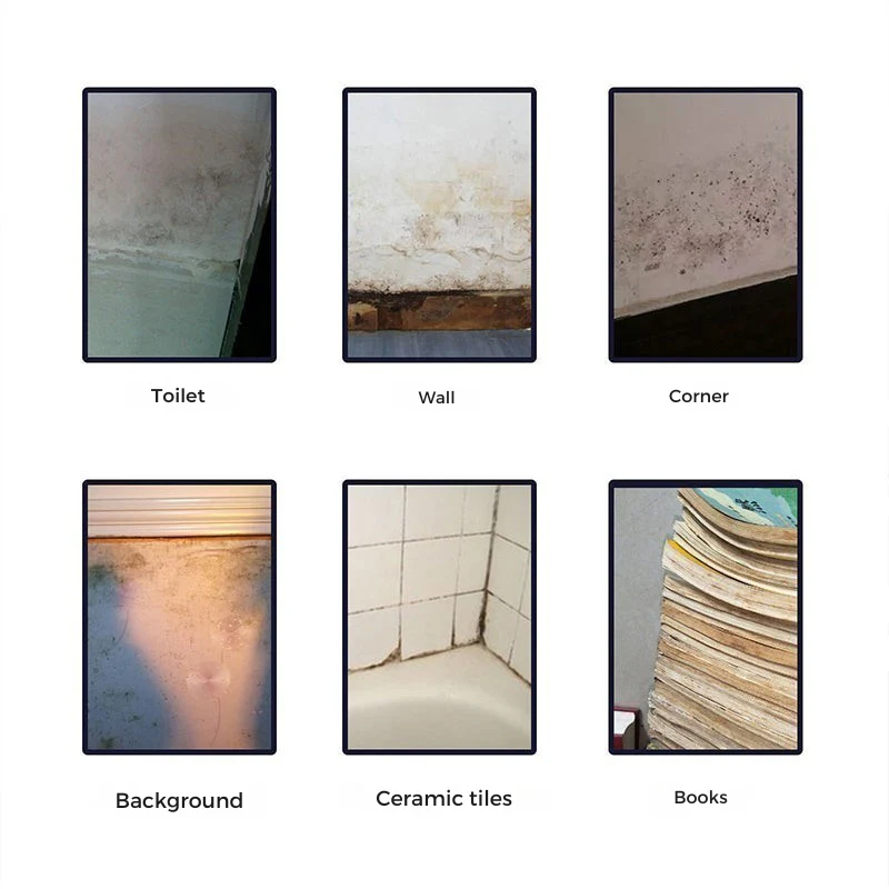 Ramuloze™ — Permanently Erase Mold and Reclaim a Fresh, Healthy Home - Image 3