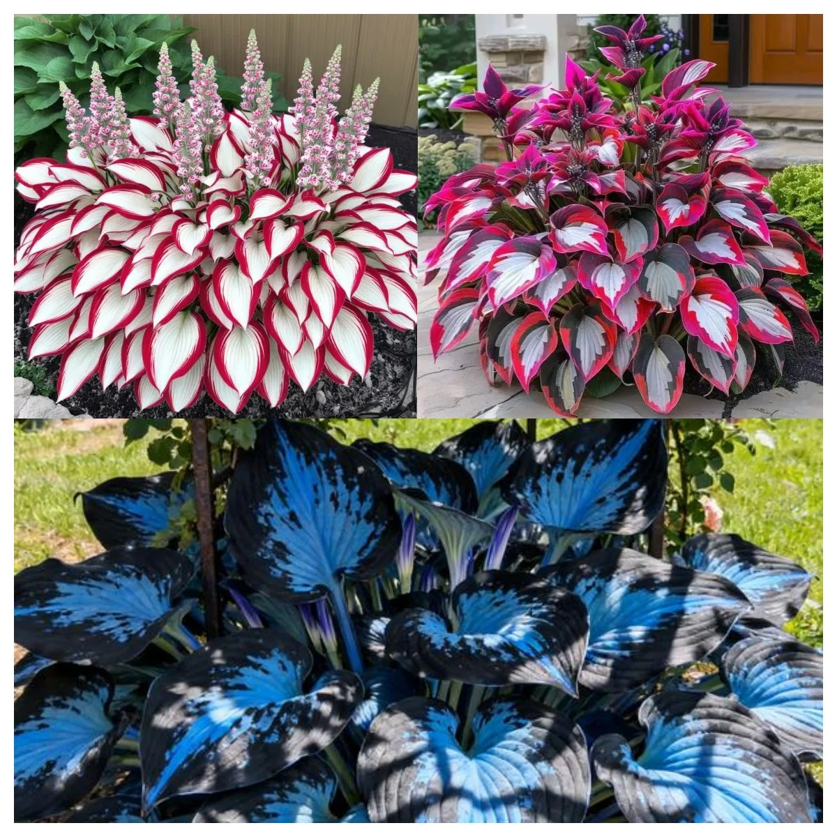 ShadeWhisper⢠â Transform Hidden Shadows into Lush, Vibrant Garden Sanctuaries - Image 9