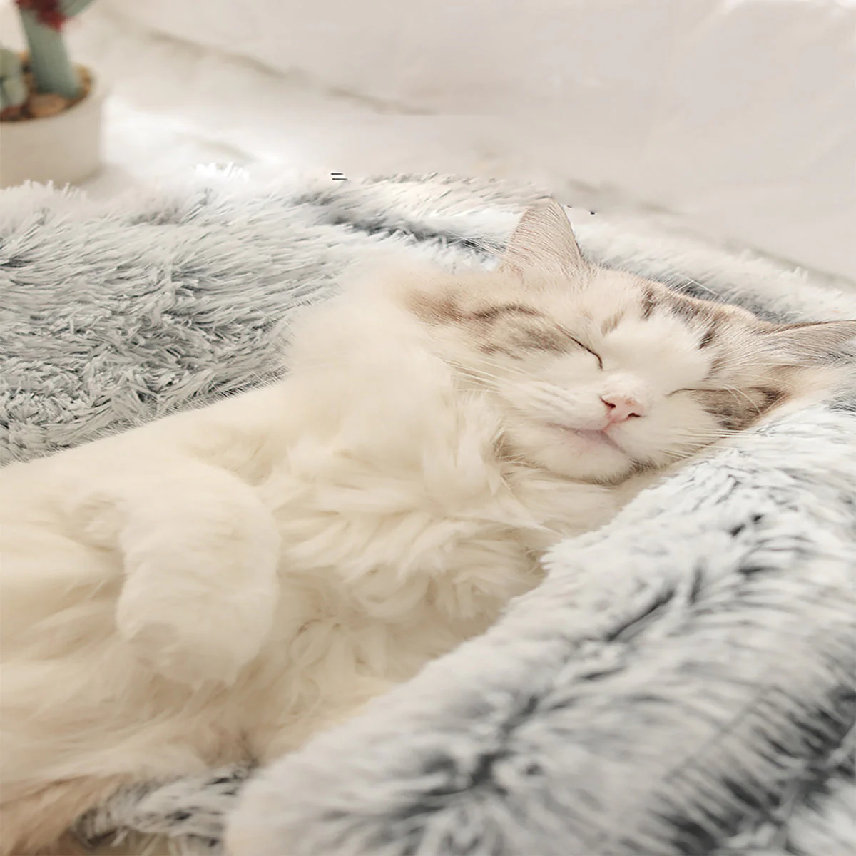 Snugpaws - Comfort for your pet's recovery - Image 4