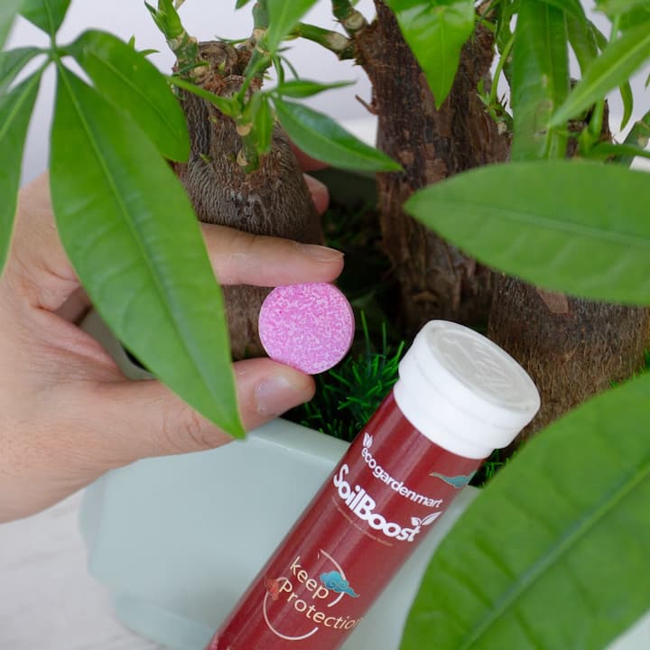 TerraThrill™ — Ignite Vibrant Growth and Watch Your Garden Thrive Effortlessly - Image 3