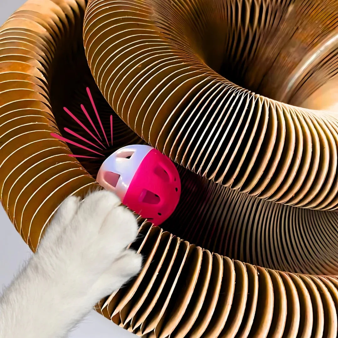 WhiskerWhirl™ — Turn Restless Paws Into Pure, Unstoppable Play Joy - Image 3