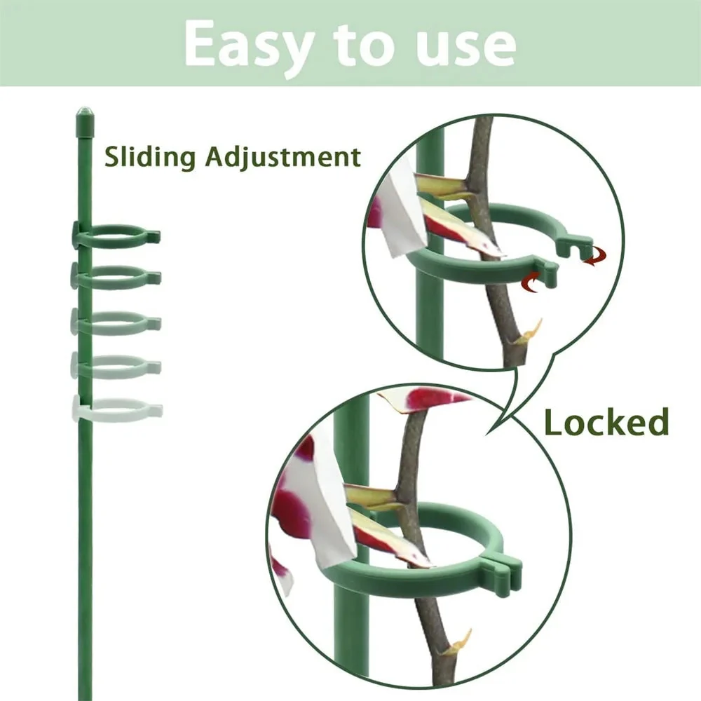 VerdantaGuard™ — Unbreakable Support That Transforms Plants Into Proud Garden Masterpieces - Image 6