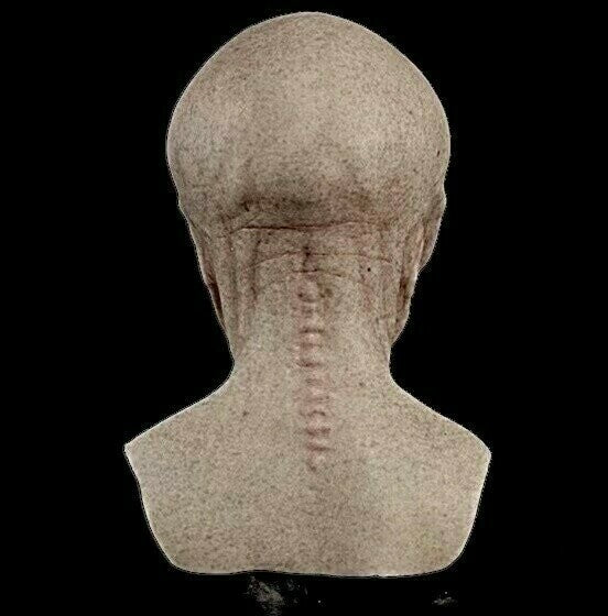 VortexMorph™ Alien Mask — Command Every Crowd with Jaw-Dropping, All-Night Realism and Comfort - Image 11